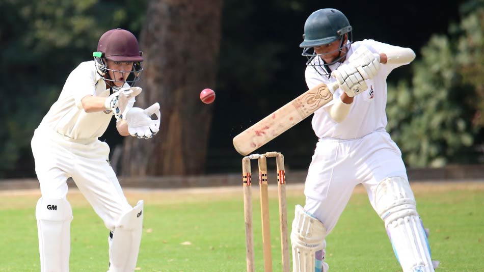 Cricket Players